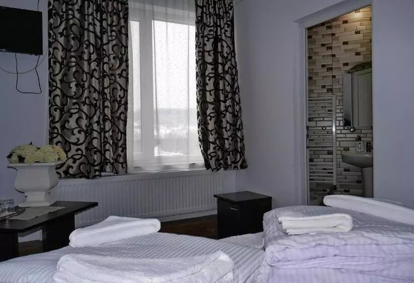 ペンション Floare De Colt