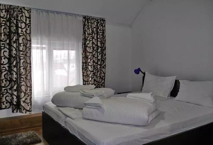 ペンション Floare De Colt