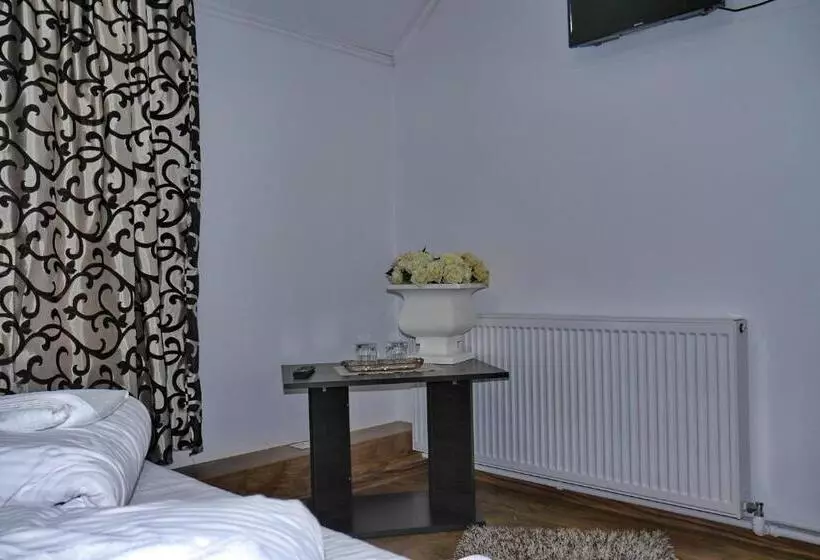 ペンション Floare De Colt