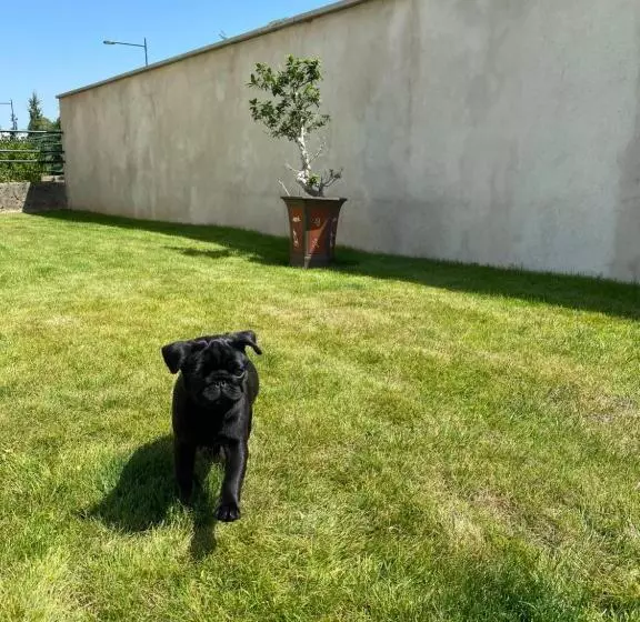 Majatalo Olga Chambre D Hôte