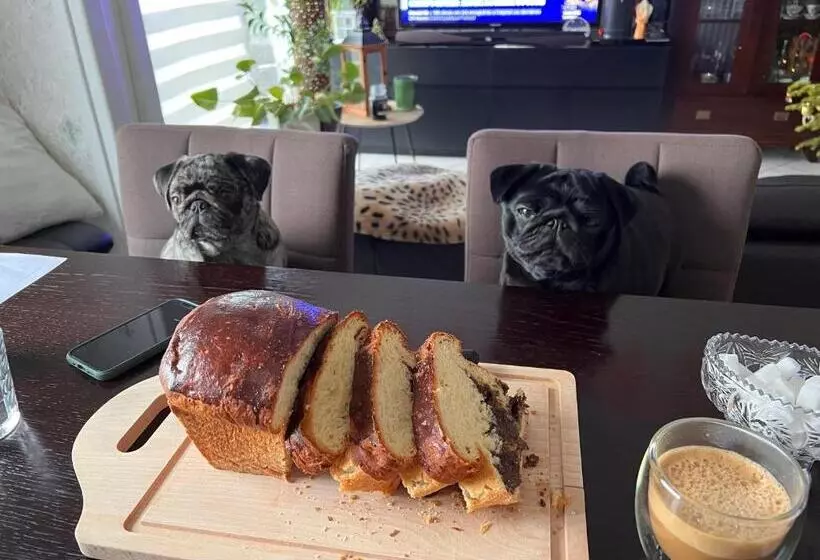 Majatalo Olga Chambre D Hôte