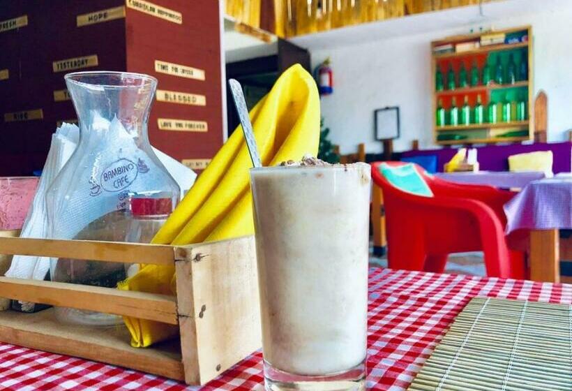 הוסטל Gypsy Nest