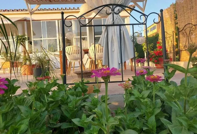 B&b Buena Vista