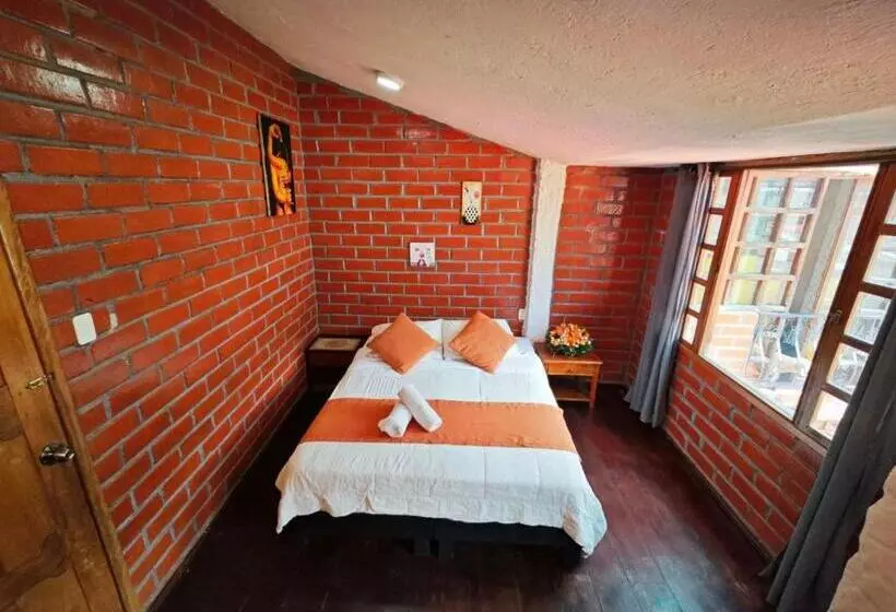 Aamiaismajoitus (B&B) La Alegría Hostel