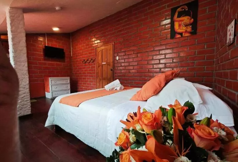 Aamiaismajoitus (B&B) La Alegría Hostel