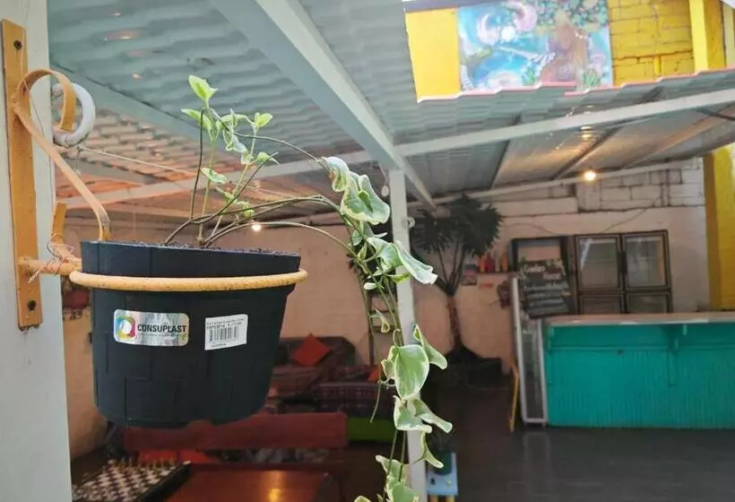 Aamiaismajoitus (B&B) La Alegría Hostel