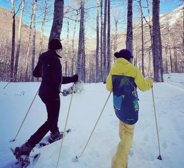 ホテル Campo Stella