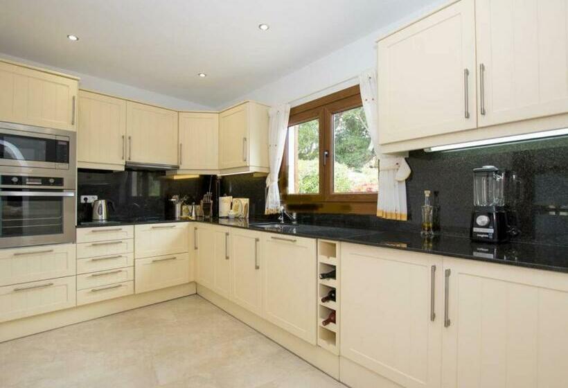 膳宿费 Villa Florencia