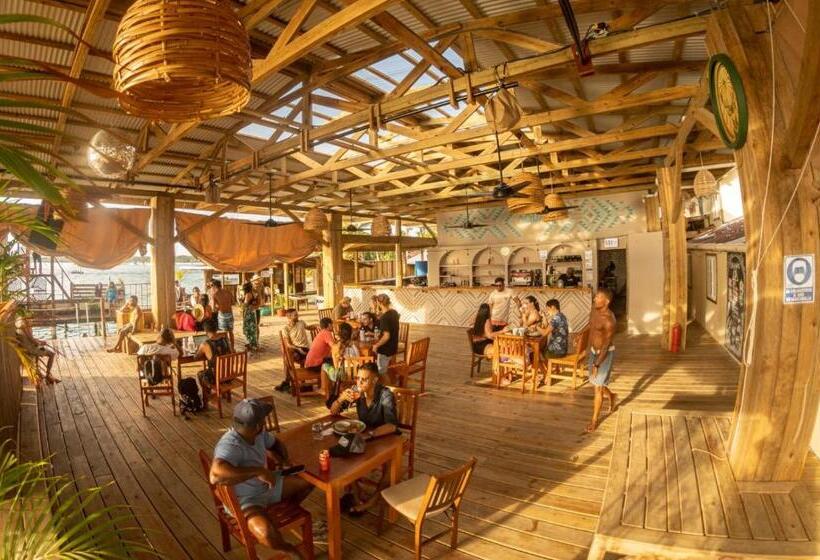 호스텔 Aqua Lounge