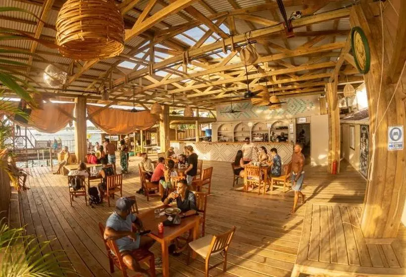 هاستل Aqua Lounge