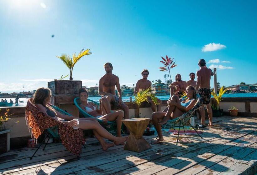 호스텔 Aqua Lounge