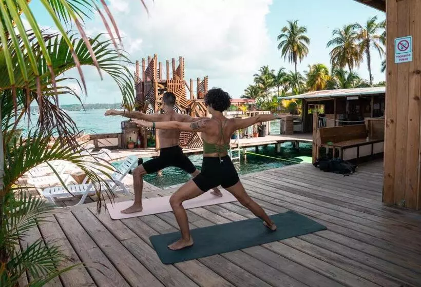 هاستل Aqua Lounge