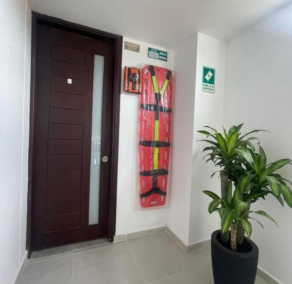 هاستل Olam Confort