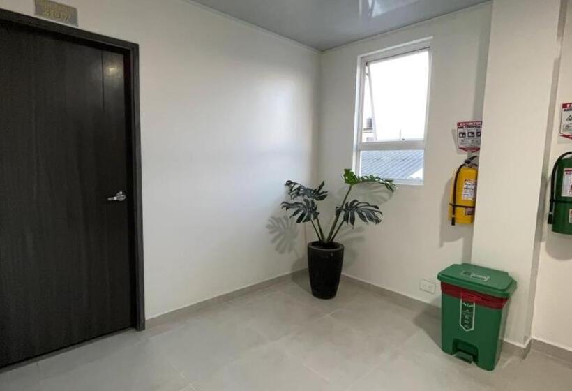 هاستل Olam Confort