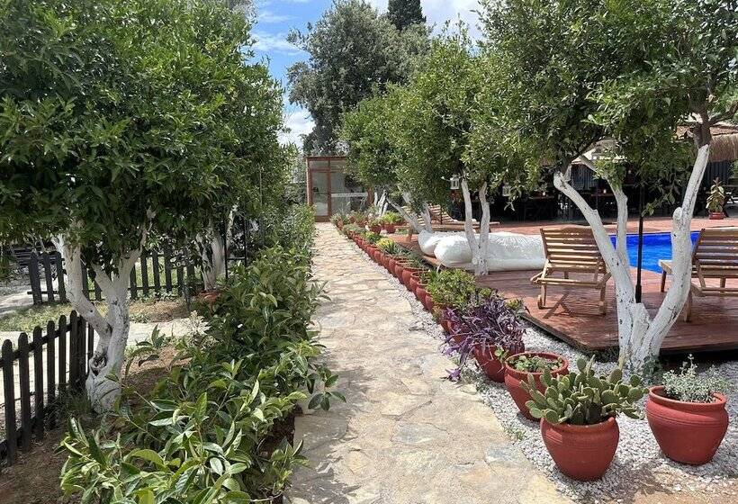 住宿加早餐  Bodrum Gaia Tiny Houses Butik