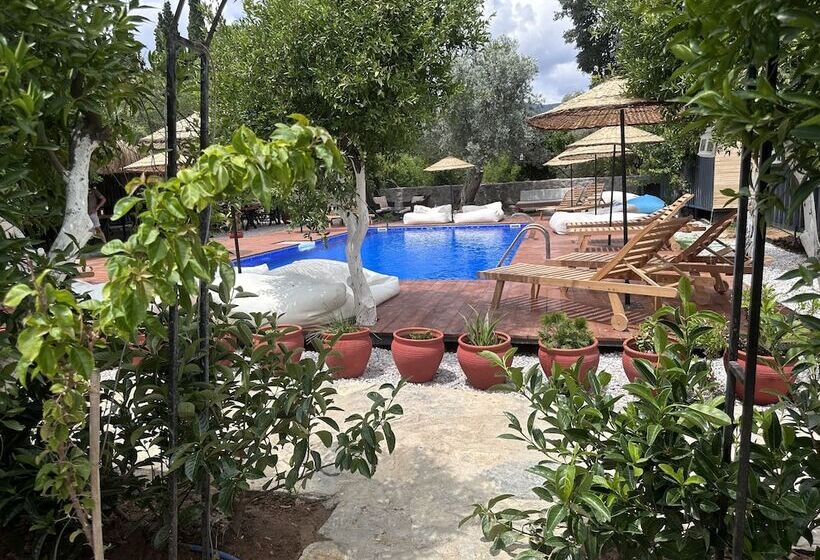 住宿加早餐  Bodrum Gaia Tiny Houses Butik