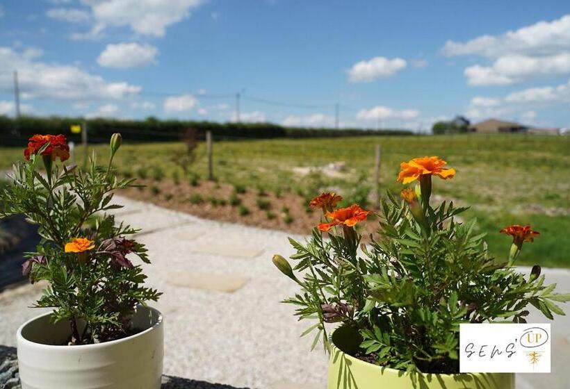 تختخواب و صبحانه Sensup à 5min De Pairi Daiza