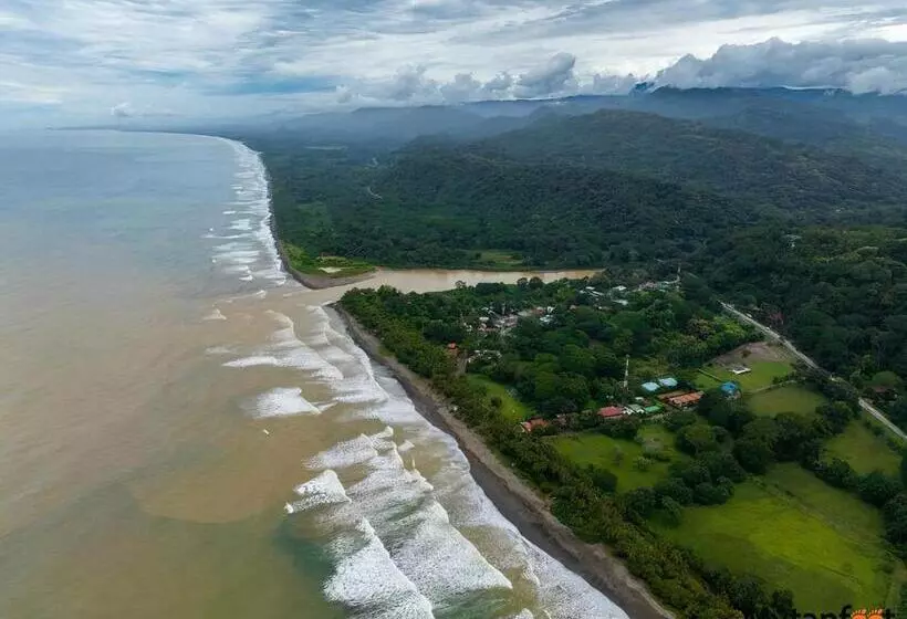 هتل Bamboo River House And
