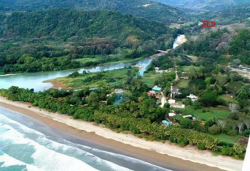 هتل Bamboo River House And