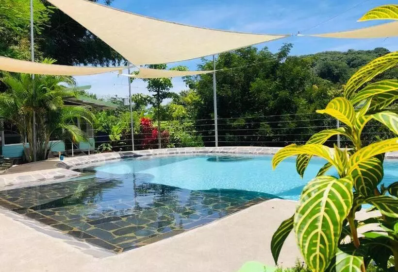 هتل Bamboo River House And