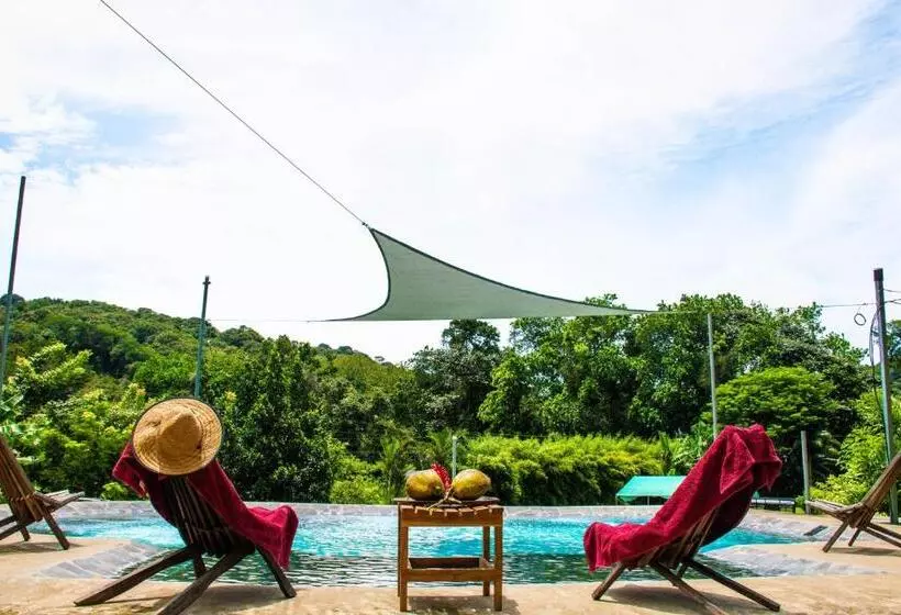 هتل Bamboo River House And