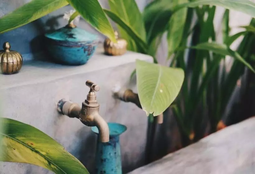 Morena Boutique Hotel Weligama