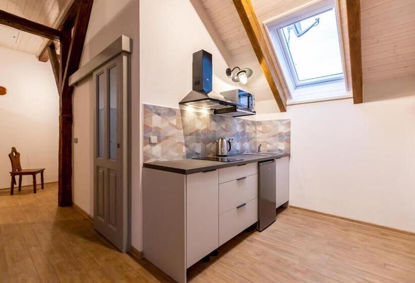 بنسيون Benátky 214