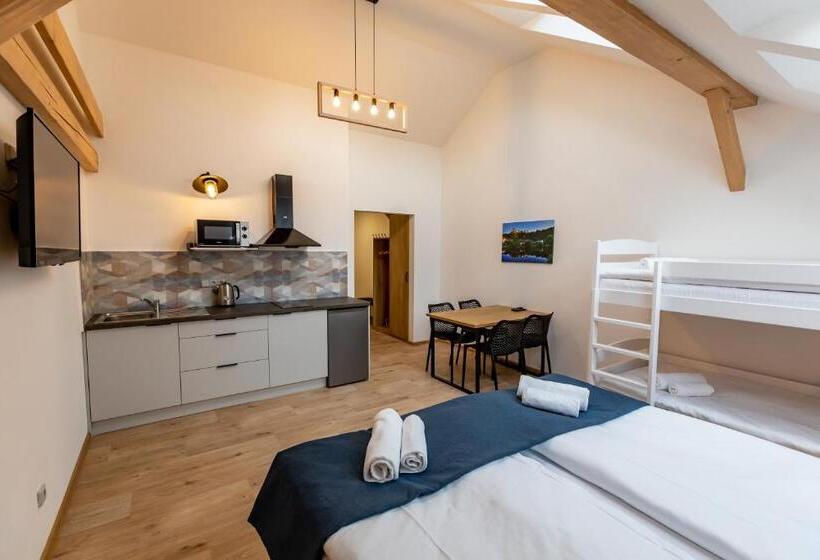 بنسيون Benátky 214