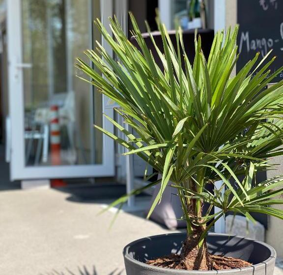 Pension Wernicke Das Original