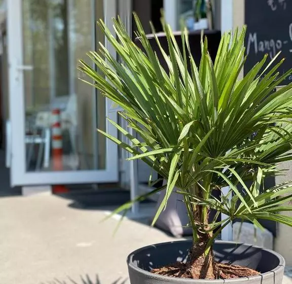 Pension Wernicke Das Original