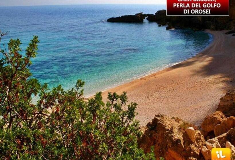 צימר Affittacamere S  Eremu