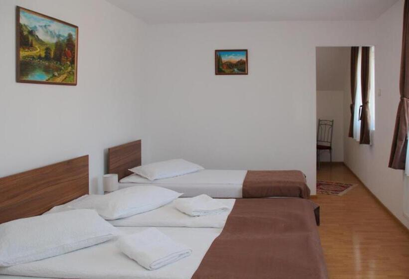 تختخواب و صبحانه Apartamente Gergely Apartmanok