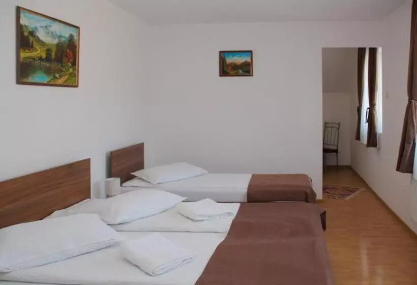 ベッドアンドブレックファースト Apartamente Gergely Apartmanok