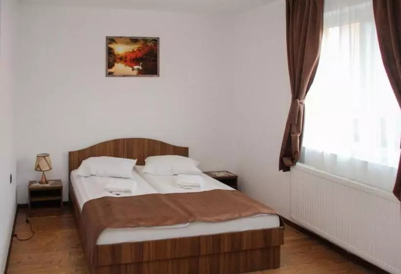 ベッドアンドブレックファースト Apartamente Gergely Apartmanok