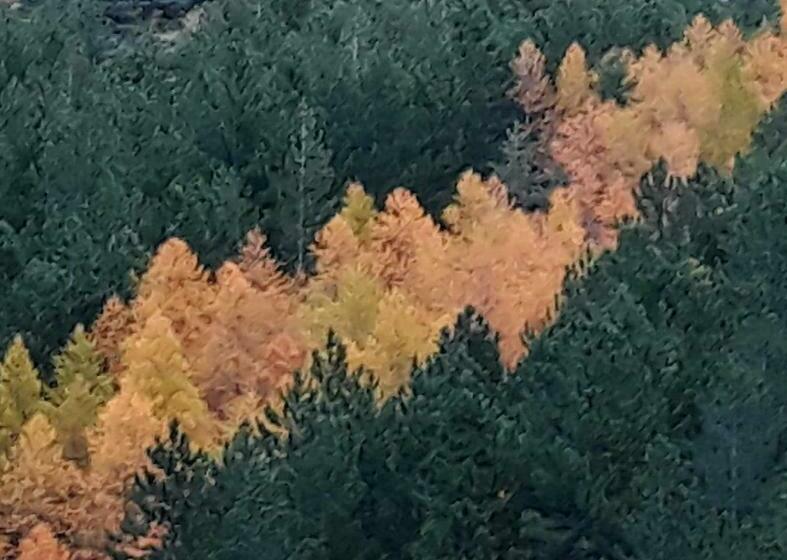 Bed & Breakfast Chalet Terra Loup