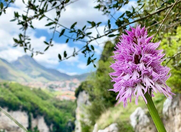 צימר Dafne Holiday