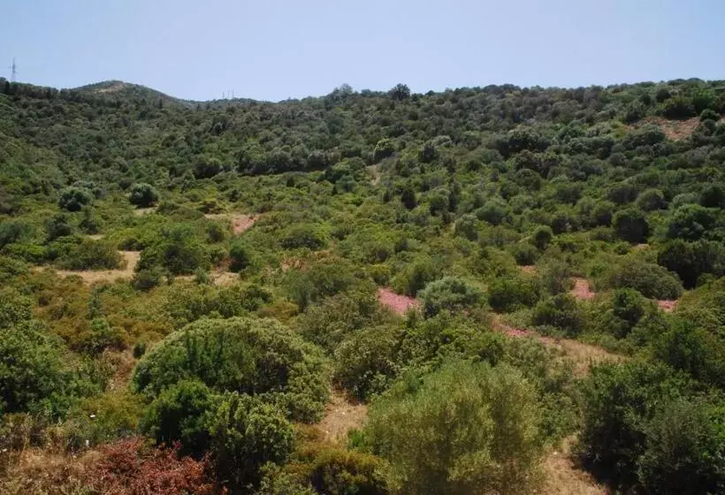 Aamiaismajoitus (B&B) I Ginepri