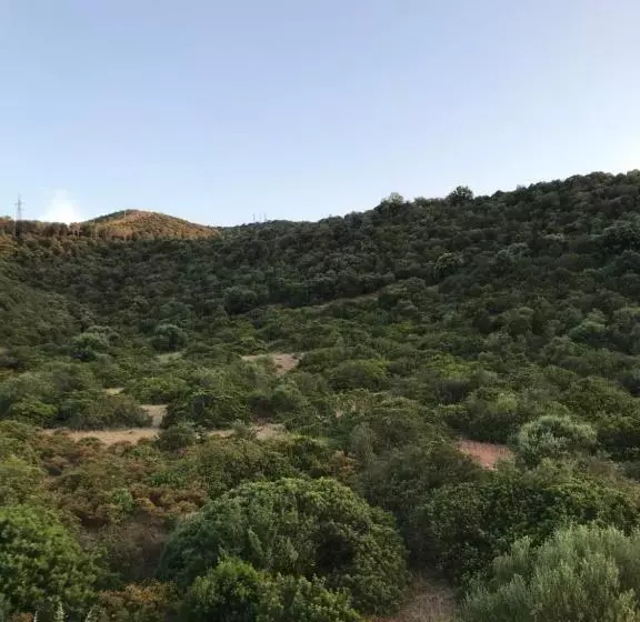 Aamiaismajoitus (B&B) I Ginepri