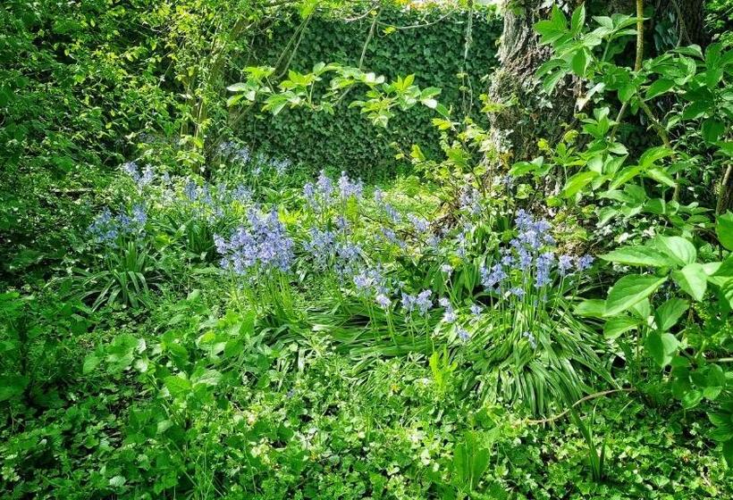 ベッドアンドブレックファースト La Maison Céladon