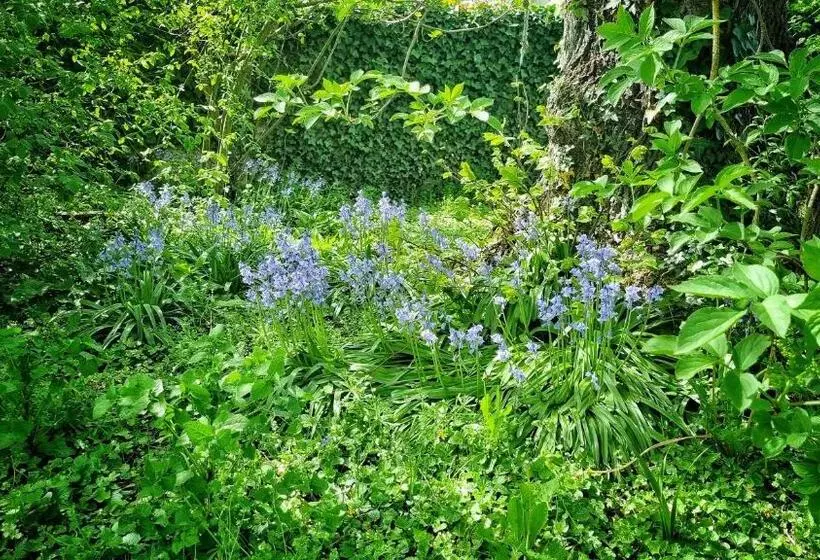 Aamiaismajoitus (B&B) La Maison Céladon