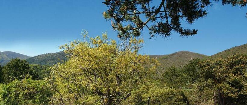 Bed and Breakfast Le Mapillon