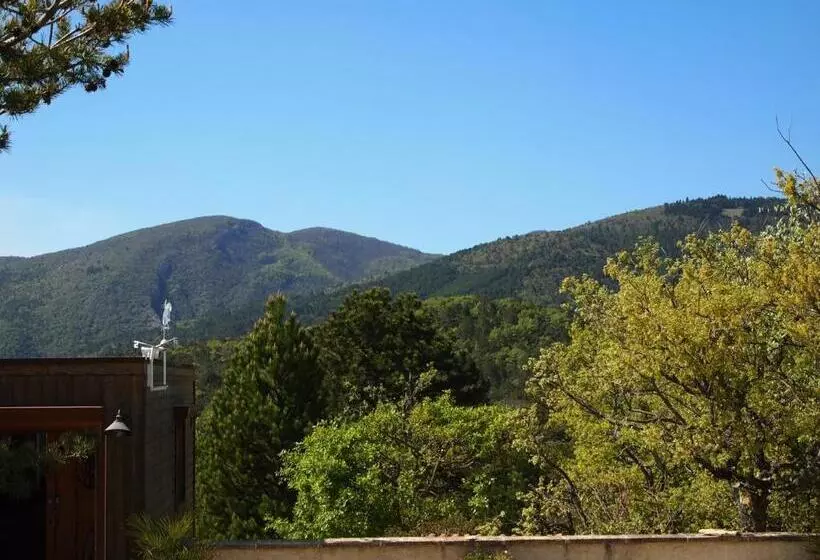 Bed & Breakfast Le Mapillon