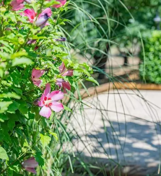 Bed and Breakfast Les Chambres Du Perussier