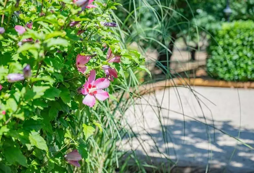 Bed and Breakfast Les Chambres Du Perussier