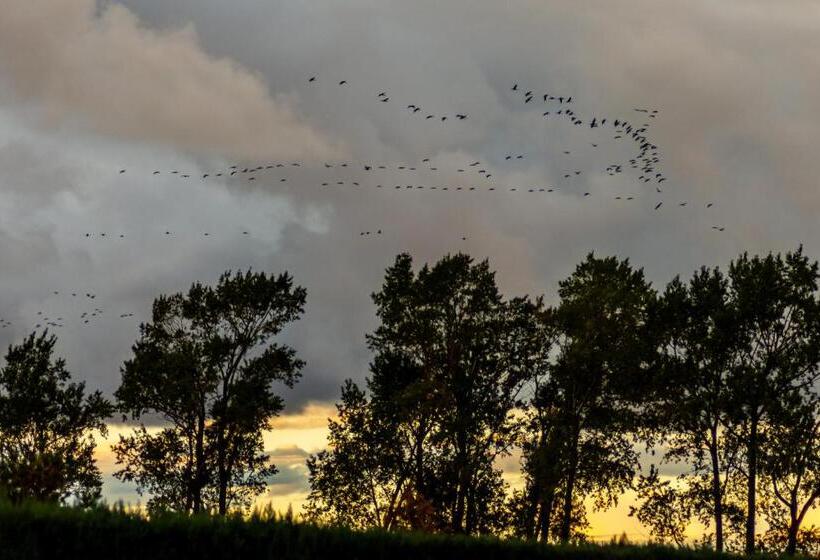 Eiscafe&pension Schumann