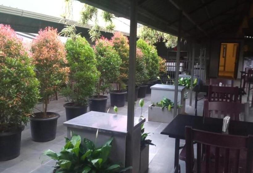 בית מלון כפרי Mayo