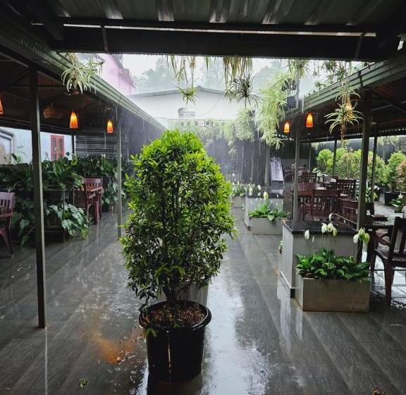 בית מלון כפרי Mayo