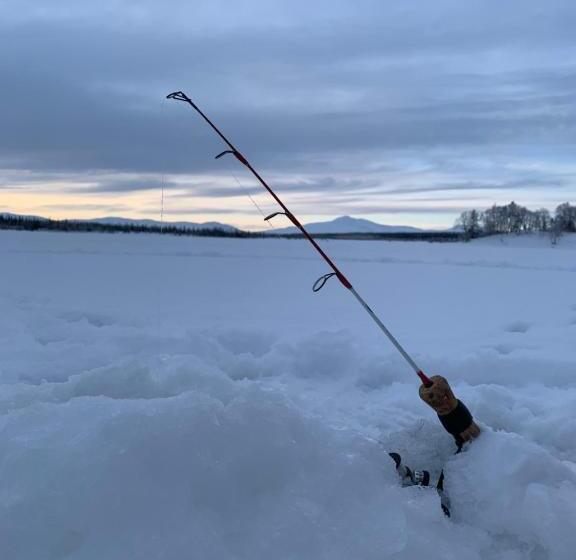 Medstugans Vandrarhem