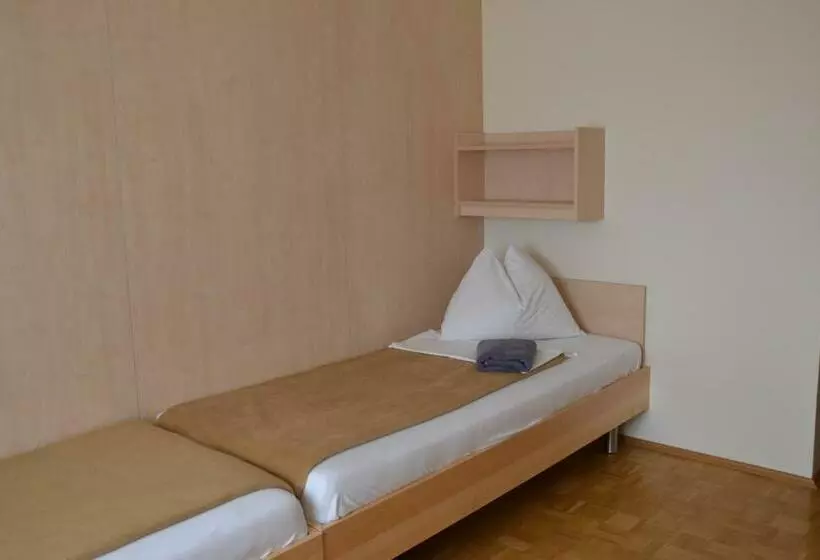 Mladinski Dom   Hostel