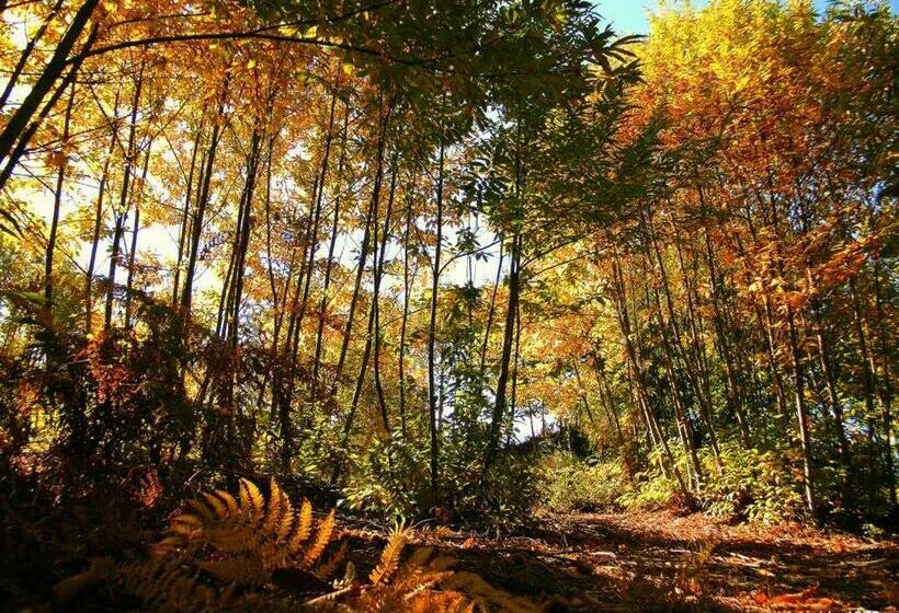 פנסיון Casa Mesones. Rural Constantina Sevilla